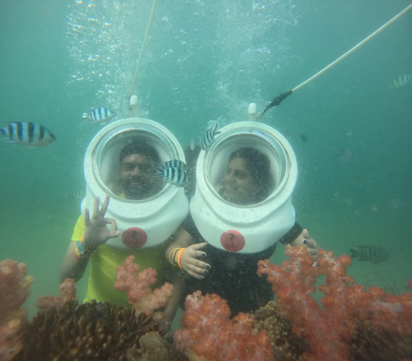 WhatsApp Image 2026 02 09 at 12 2