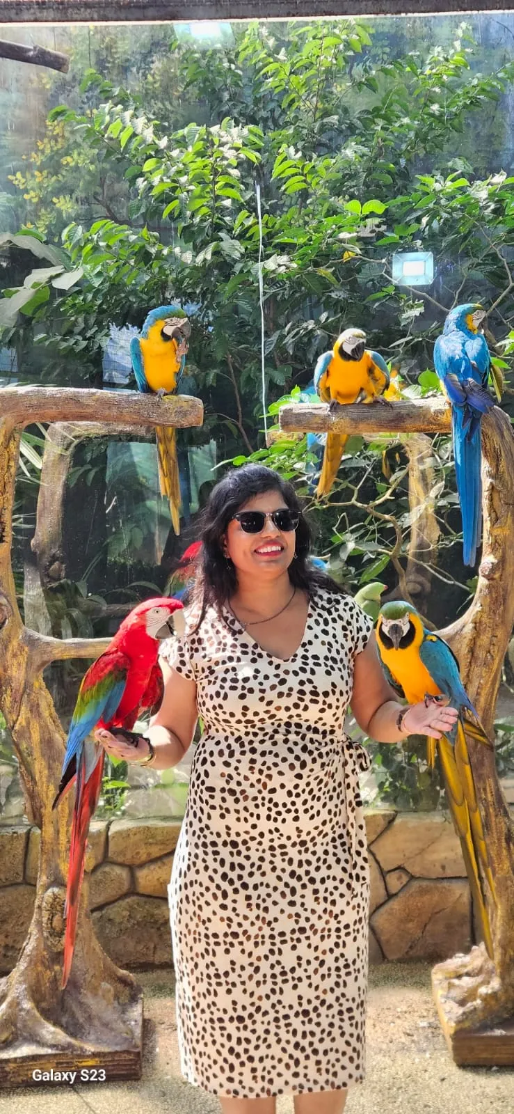 WhatsApp Image 2026 02 09 at 12 6