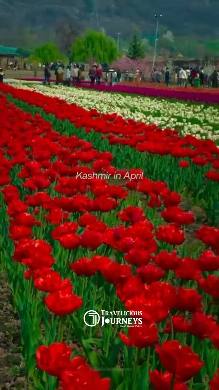 Instagram post from traveliciousjourneys. This post is in position 1.