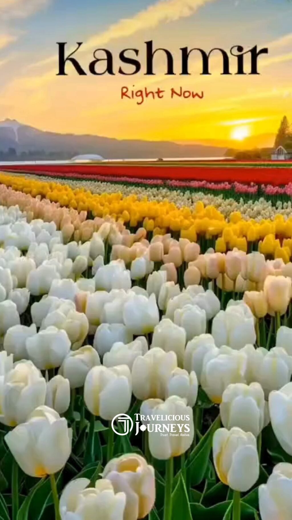 Instagram post from traveliciousjourneys. This post is in position 5.